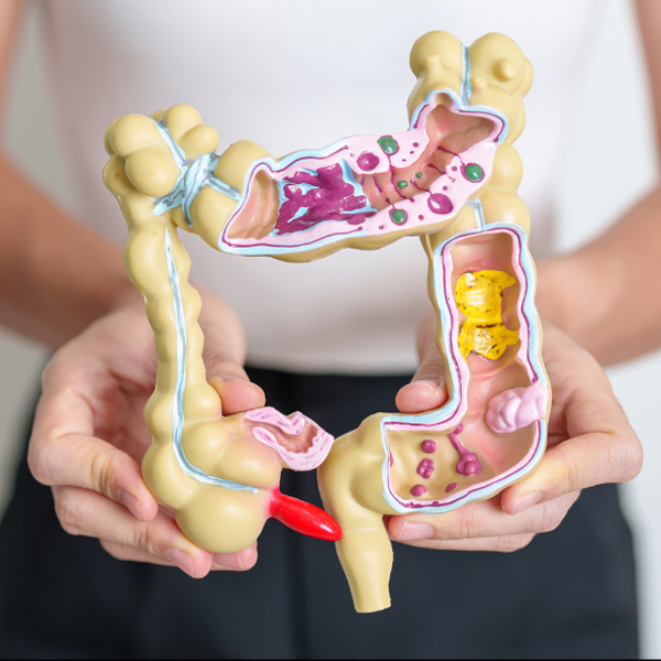 Por que respeitar o tempo de adaptação do intestino faz parte de um tratamento eficiente